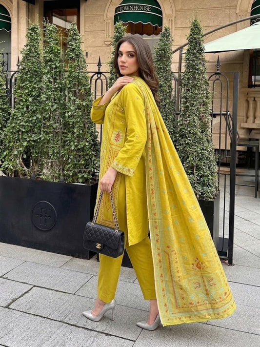 Luxury Eid Stitched 3-Piece Suit With Organza Dupatta (Stitched)