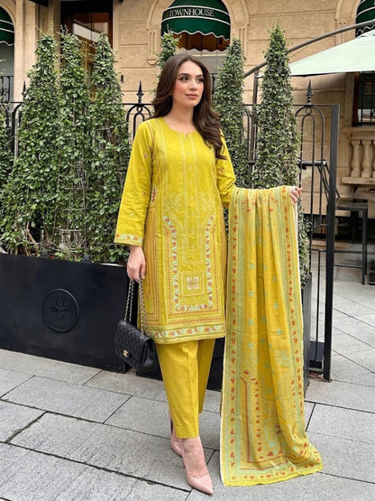 Luxury Eid Stitched 3-Piece Suit With Organza Dupatta (Stitched)
