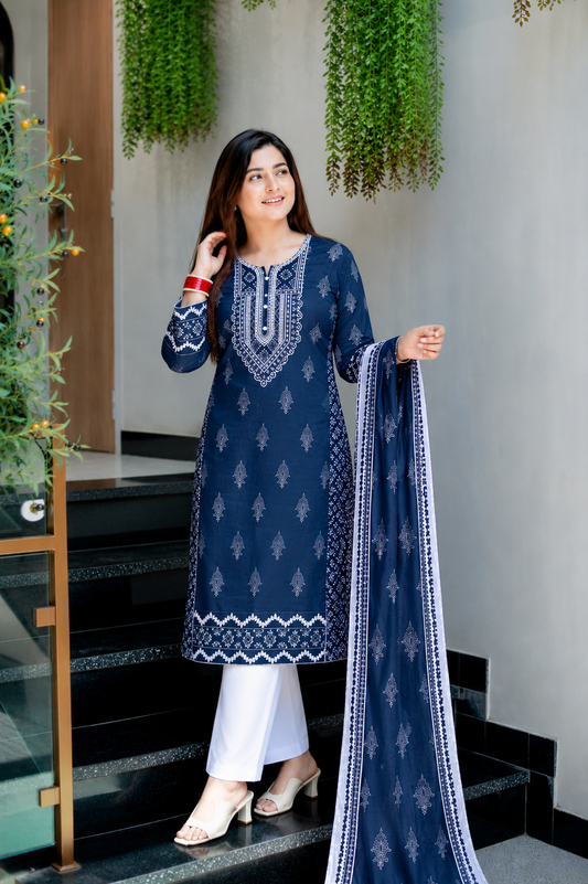 Luxury Stitched Lawn 3-Piece Suit by Bin Anwar – Digital Printed A-Line (Stitched)